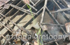 Puttur: LPG cylinder explosion rips apart house; injures 4